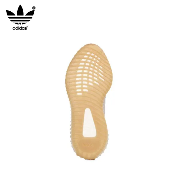 Adidas Yeezy Boost 350 V2 Sesame 芝麻 大地色 椰子 F99710
